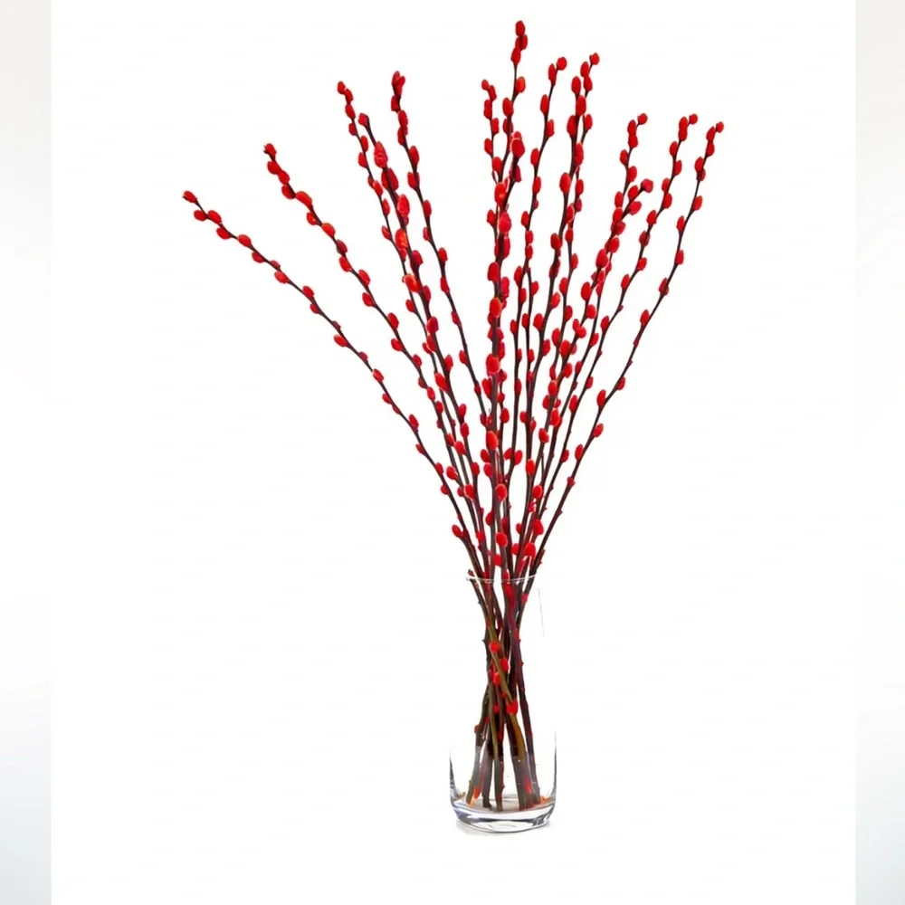 Red Willow Stems 100% Real Floral Plant Home Holiday Decor 16” Length (60pc)